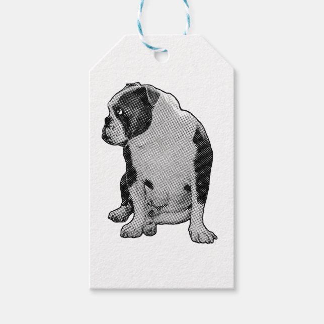 Étiquettes-cadeau Étincelle assise sur cravate (Devant)