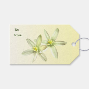Étiquettes-cadeau Étoile de Bethléem Pack d'étiquettes cadeaux