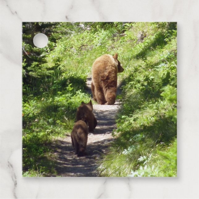 Étiquettes Cadeau Famille d'ours brun (Devant)