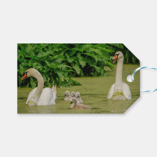 Étiquettes-cadeau Famille Swan (Devant (Horizontal))