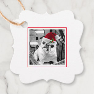 Étiquettes Cadeau Family Pet Photo Santa Hat Joyeux Noël