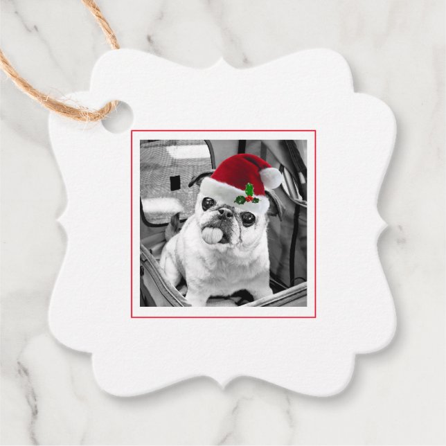 Étiquettes Cadeau Family Pet Photo Santa Hat Joyeux Noël (Devant)