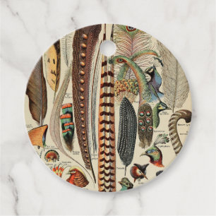 Étiquettes Cadeau Feather Bird Wildlife Plumes d'antiquités