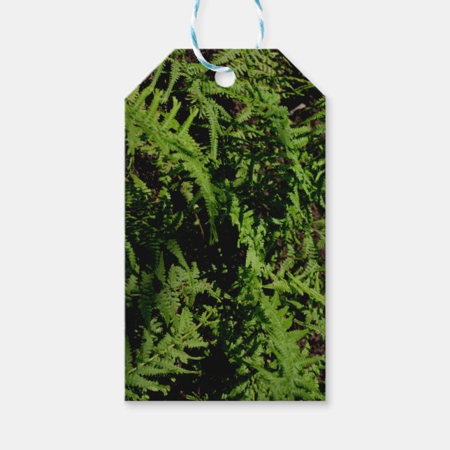 Étiquettes-cadeau Fermes du plancher forestier (Devant)