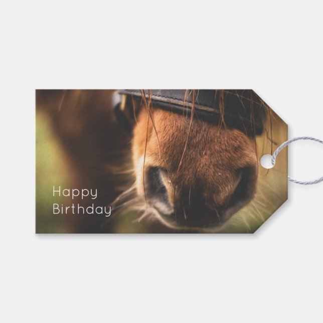 Étiquettes-cadeau Fermeture d'un joli cheval Brown Nez Anniversaire (Devant (Horizontal))