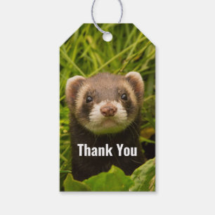 Étiquettes-cadeau Ferret Brown dans le Merci d'herbe