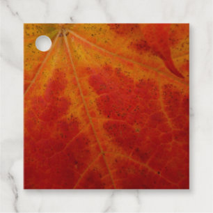 Étiquettes Cadeau Feuille de Érable Rouge Abstrait Photographie de l