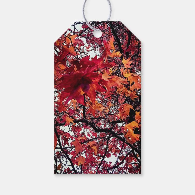 Étiquettes-cadeau Feuille rouge et orange (Devant)