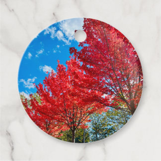 Étiquettes Cadeau Feuilles D'Arbre Rouge Lumineux En Automne