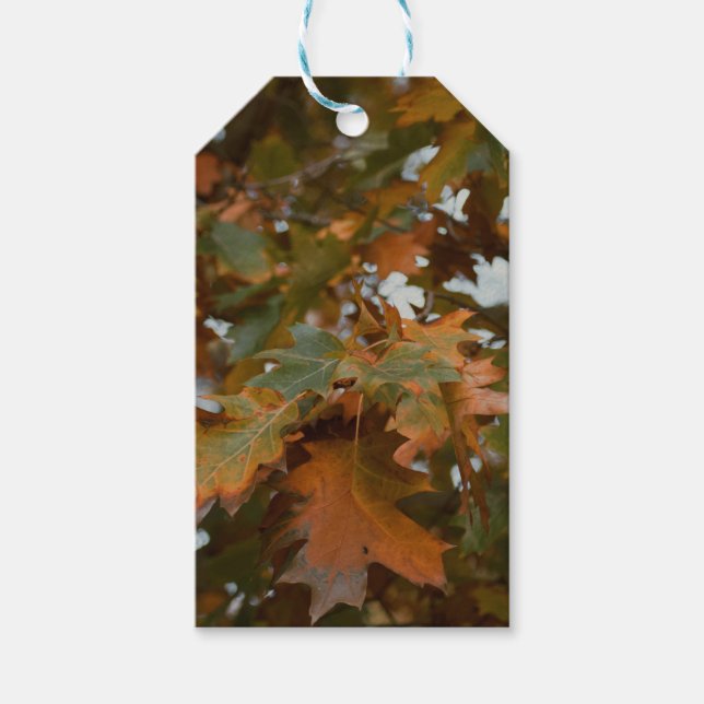 Étiquettes-cadeau Feuilles d'automne (Devant)