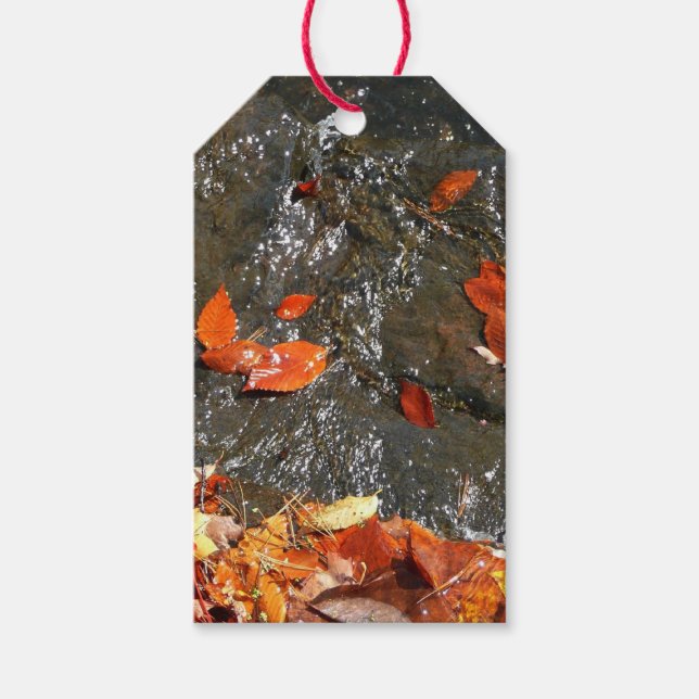 Étiquettes-cadeau Feuilles d'automne dans la cascade I Photographie  (Devant)