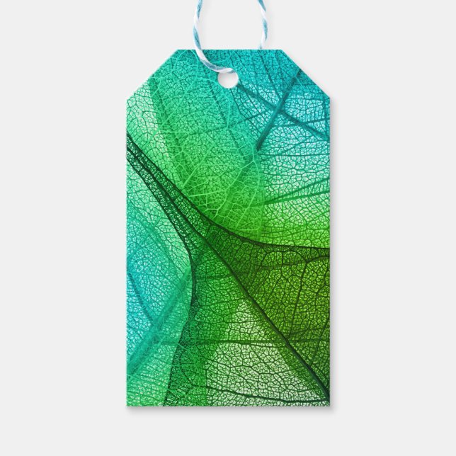 Étiquettes-cadeau Filtrage de la lumière du soleil à travers des Feu (Devant)