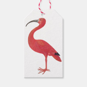 Étiquettes-cadeau Flamant rose - Balise cadeau d'art