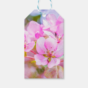 Étiquettes-cadeau Fleur de pomme rose