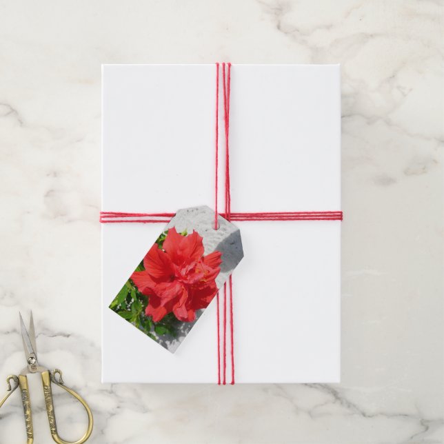 Étiquettes-cadeau Fleur double hibiscus rouge (With Twine)