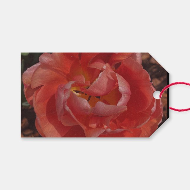 Étiquettes-cadeau fleur rouge  (Devant (Horizontal))