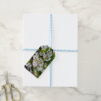 Étiquettes-cadeau Fleurs d'Apple