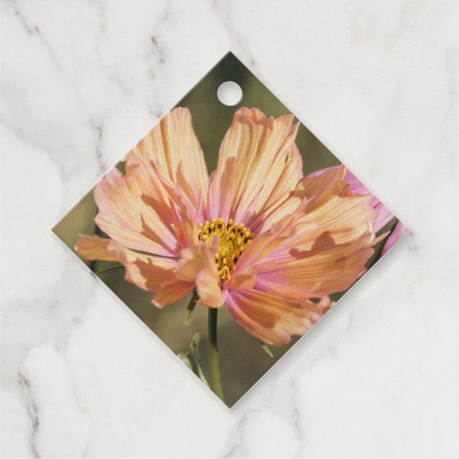 Étiquettes Cadeau Fleurs de Cosmea d'Été Rétro  (Devant)