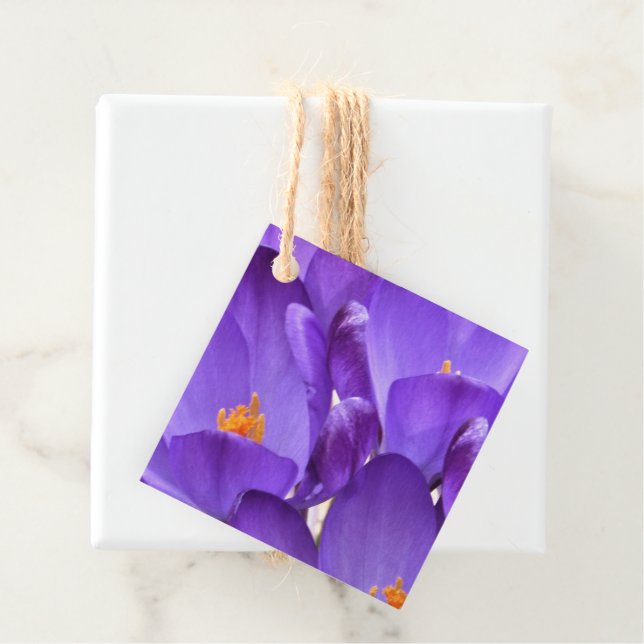 Étiquettes Cadeau Fleurs de Crocus de Printemps (En situation)