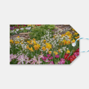 Étiquettes-cadeau Fleurs de printemps colorées en pleine floraison