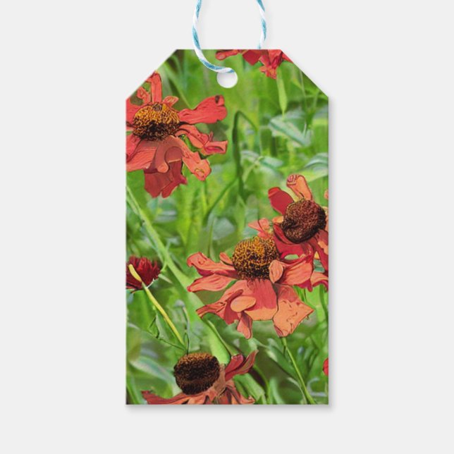 ÉTIQUETTES-CADEAU FLEURS DE RUDBECKIA ROUGES (Devant)
