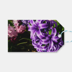 Étiquettes-cadeau Flore de printemps Blue Hyacinth II
