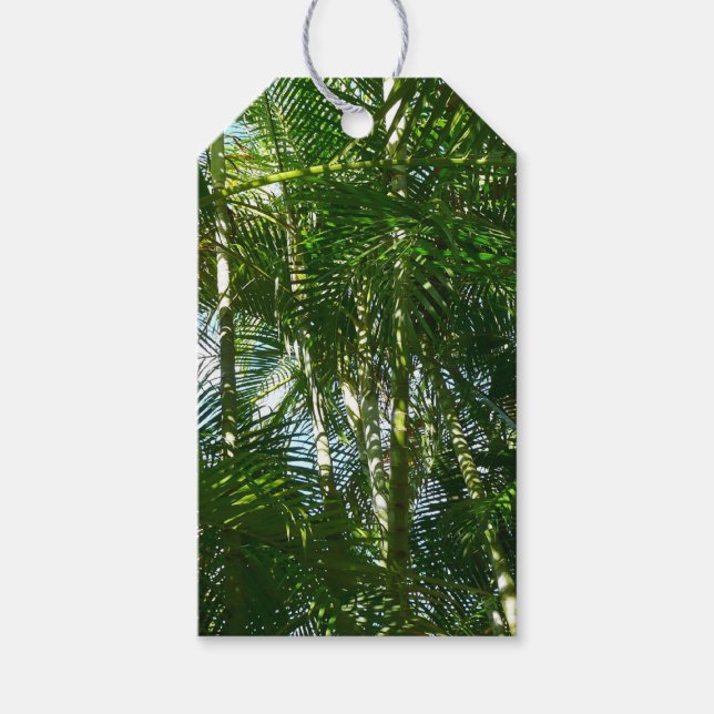 Étiquettes-cadeau Forest of Palm Trees Tropical Nature (Devant)