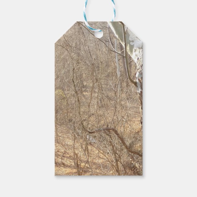 Étiquettes-cadeau forêt hivernale (Devant)