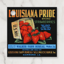 Fraises de la Louisiane
