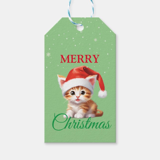 Étiquettes-cadeau Funny animaux Safari Chat Père Noël Costume de Noë (Devant)