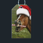 Étiquettes-cadeau Funny Christmas horse with Santa hat smiling<br><div class="desc">horse animal christmas horses, 
mouth lips pasture animals, 
country pony equestrian looking, 
cold santa head hair , 
claus hat xmas face, 
happy winter snow fun , 
white funny farm beautiful , 
equine cute holiday red , 
christmas horse animal horses, </div>