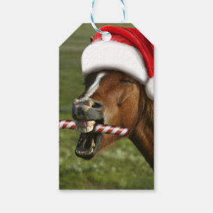 Étiquettes-cadeau Funny Christmas horse with Santa hat smiling
