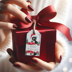 Étiquettes-cadeau Funny Sarcastic Chat Santas Casquette Noël Tags ca