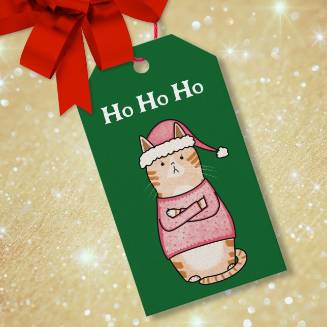 Étiquettes-cadeau Funny Sarcastic Orange Chat Noël (Créateur téléchargé)