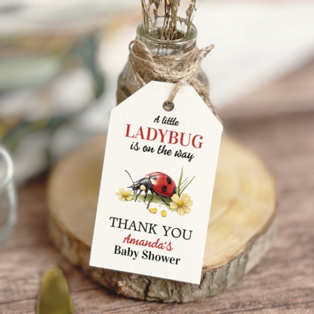 Étiquettes-cadeau Garden Floral Daisy Little Ladybug Baby Shower (Créateur téléchargé)