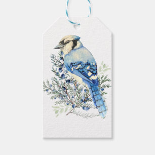 Étiquettes-cadeau Geai bleu aquarelle Oiseaux Myrtilles Art de campa