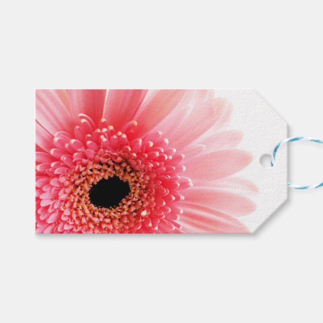 Étiquettes-cadeau Gerbera Daisy  (Devant (Horizontal))