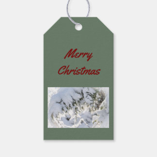 Étiquettes-cadeau Gift Tag: Christmas Snow on Evergreen