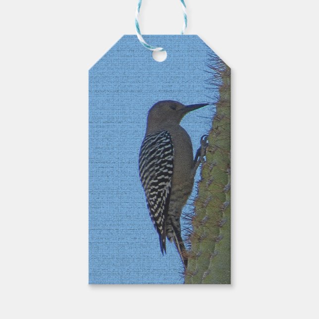 Étiquettes-cadeau Gila Woodpecker S'Accorde Au Saguaro Cactus Arizon (Devant)