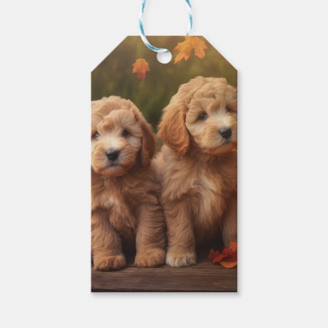 Étiquettes-cadeau Goldendoodle Chiot Automne Citrouille délice (Devant)
