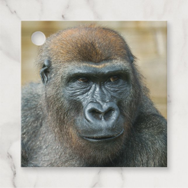 Étiquettes Cadeau Gorilla (Devant)