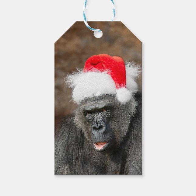 Étiquettes-cadeau Gorilla Biddy dans un Casquette de Noël festif (Devant)