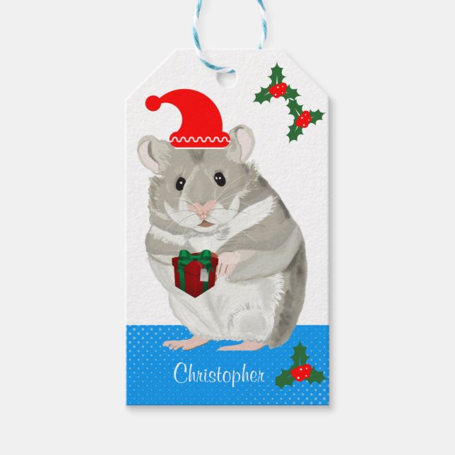 Étiquettes-cadeau Gray Hamster garçons personnalisés Noël (Devant)