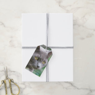 Étiquettes-cadeau Gray Kitty Chat