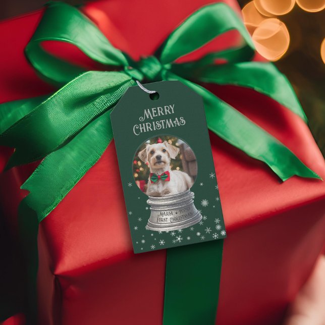 Étiquettes-cadeau Green Snowglobe Snowflop Photo (Green snowglobe gift tag 
)