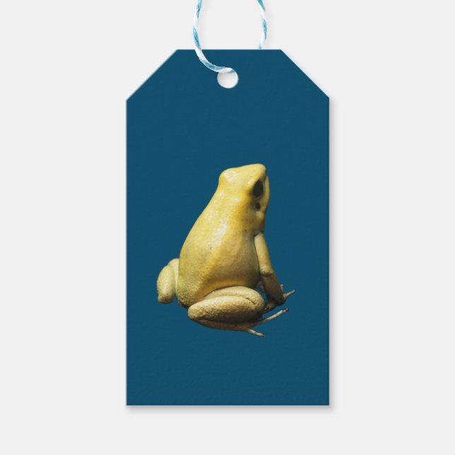 Étiquettes-cadeau Grenouille à poison dorée (Devant)