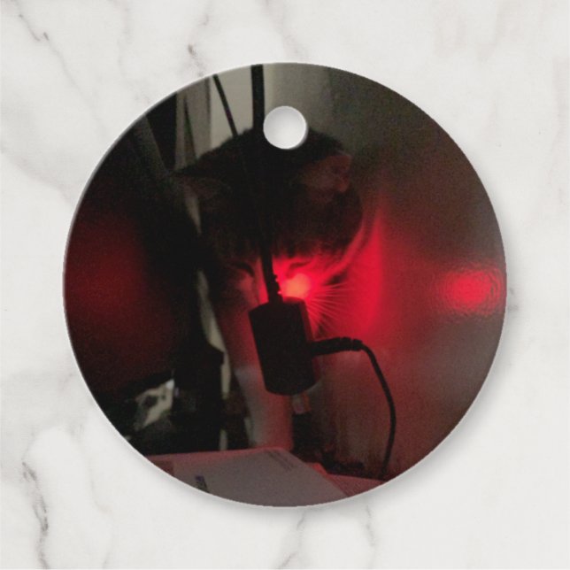 ÉTIQUETTES CADEAU GZ & LTS - MODE D'ALIMENTATION TURBO (Devant)