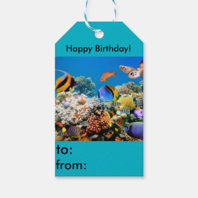 Étiquettes-cadeau Happy Birthday fish aquarium tag cadeau (Devant)