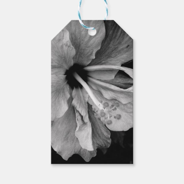 Étiquettes-cadeau Hibiscus (Devant)