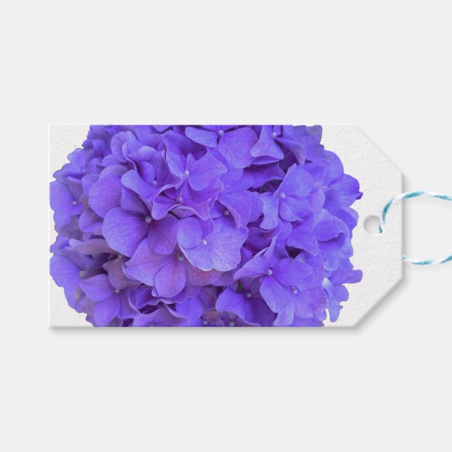 Étiquettes-cadeau Hydrangeas lilas violettes fleurs violettes (Devant (Horizontal))